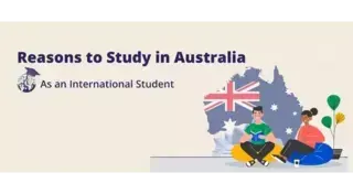 Reasons to study in Australia as an international student