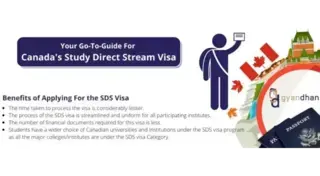 Your Go-To-Guide for Canada's Study Direct Stream Visa