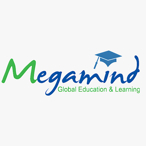 Megamind Consultants Education Consultant